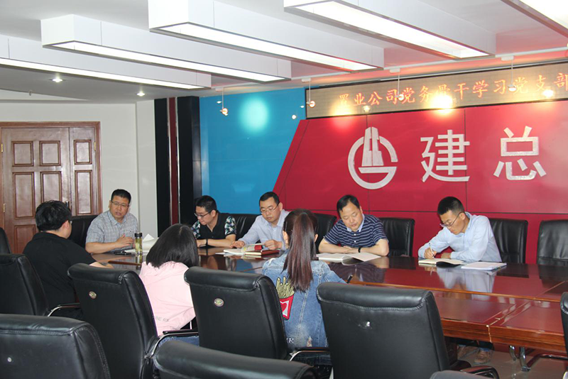 公司組織學(xué)習(xí)《甘肅省國有企業(yè)黨支部建設(shè)標(biāo)準(zhǔn)化手冊》